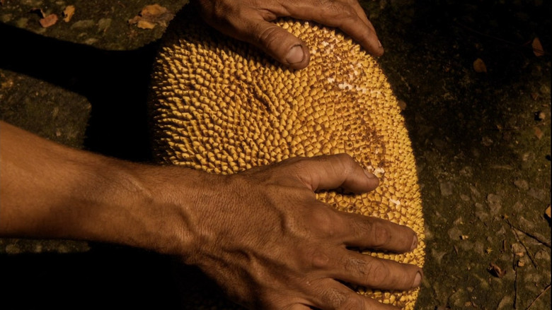 кадр из фильма Zizi (ou oração da jaca fabulosa)