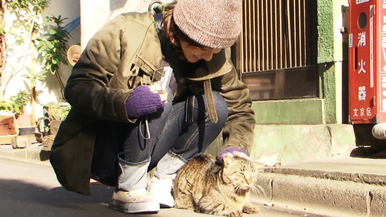 кадр из фильма 私は猫ストーカー