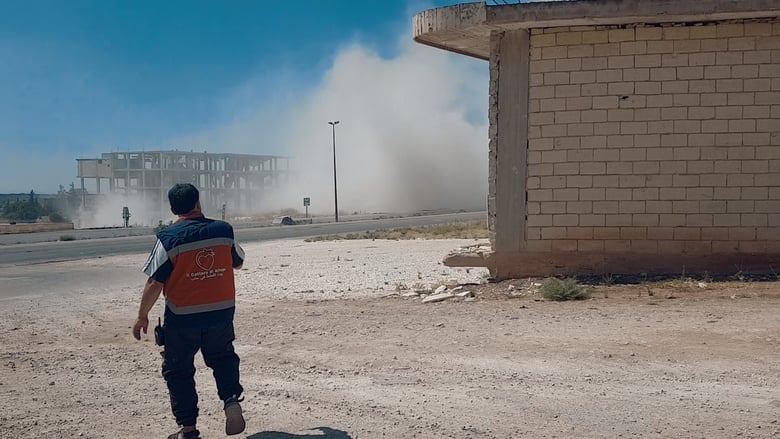 кадр из фильма Kedi Adam