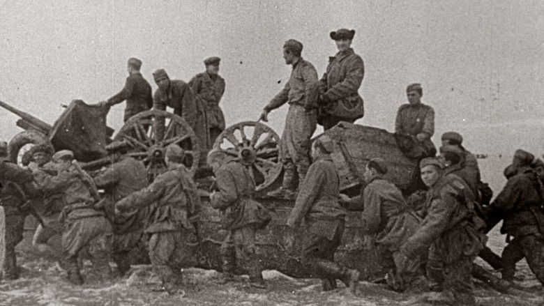 кадр из фильма Зеркало