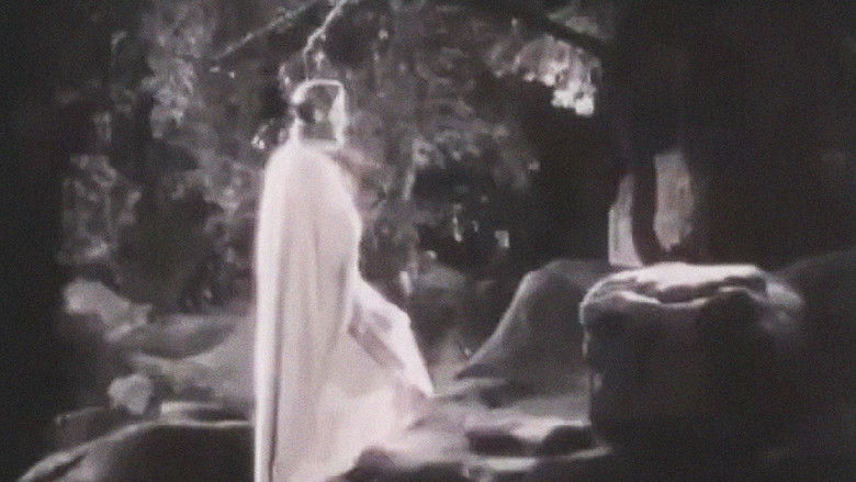 кадр из фильма Lux Æterna: The Art of Filmmaking