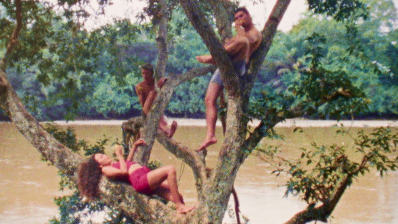 кадр из фильма Heliconia