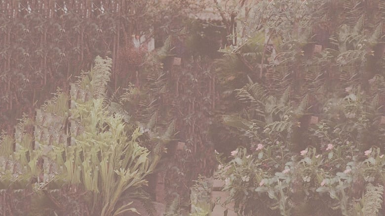 кадр из фильма Conserva