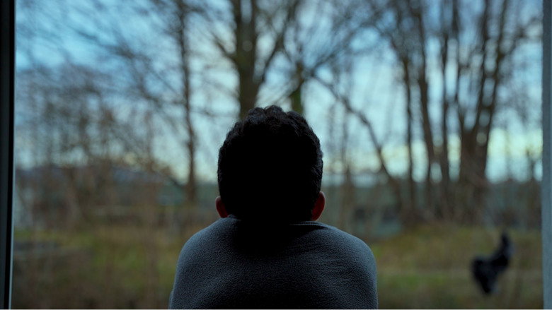 кадр из фильма Flamingo's Birthday