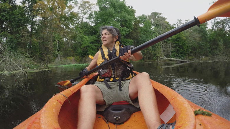 кадр из фильма American River