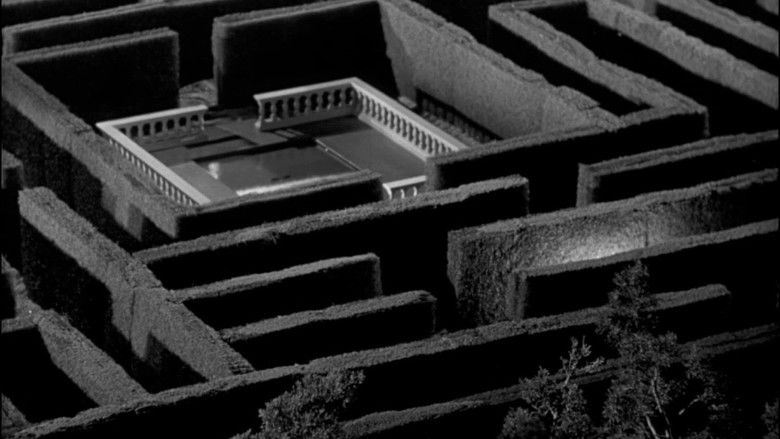 кадр из фильма Лабиринт