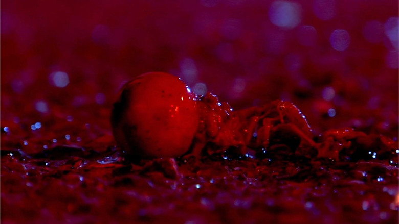 кадр из фильма Brainjacked