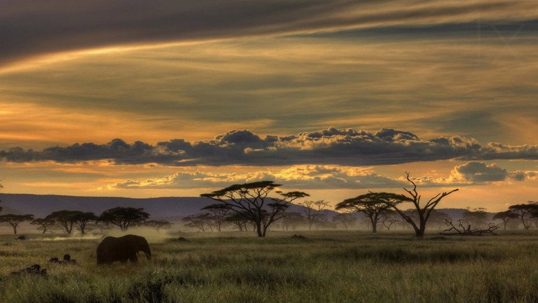 Living Landscapes: Wild Africa