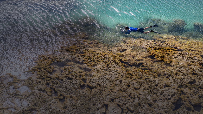 кадр из фильма Brasil Azul