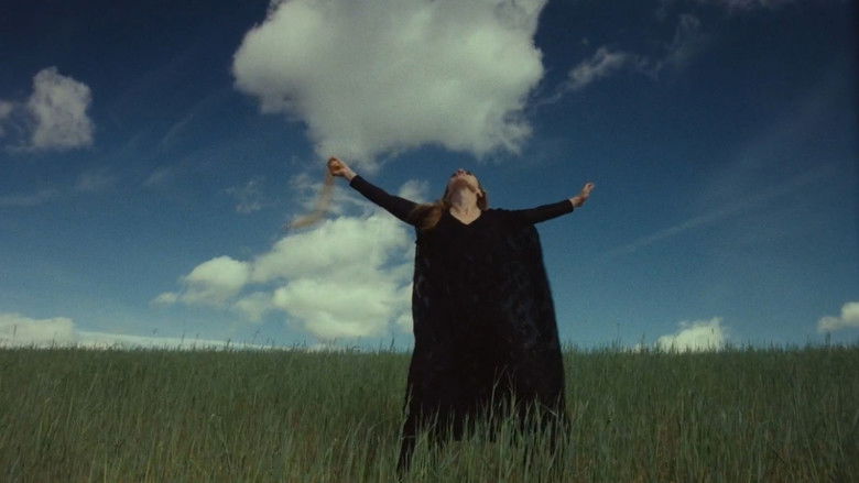 кадр из фильма Песчаная роза