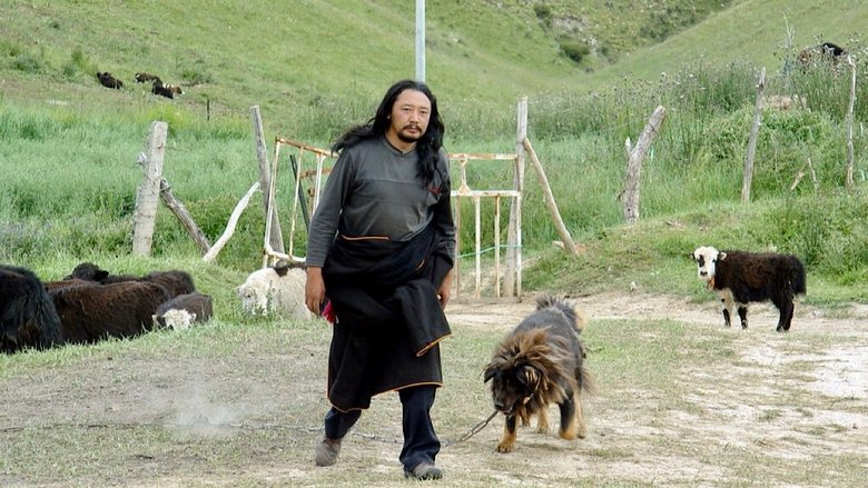 кадр из фильма ཁྱི་རྒན།