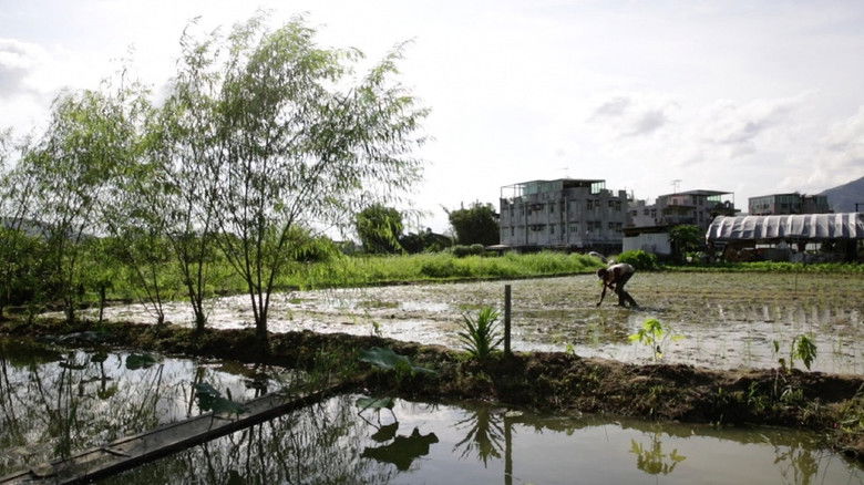 кадр из фильма 港米