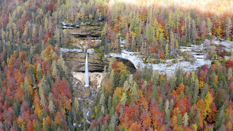 кадр из фильма Slowenien - Am Puls der Wildnis