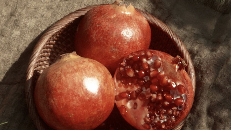 кадр из фильма Poppy