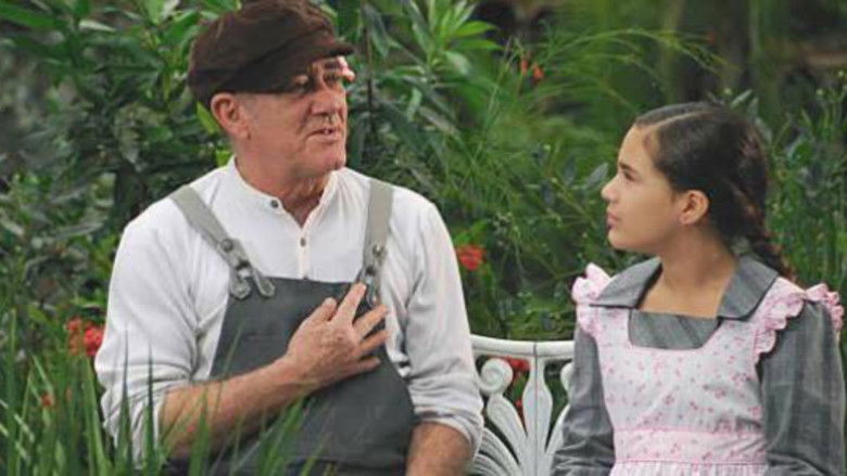 O Guerreiro Didi e a Ninja Lili