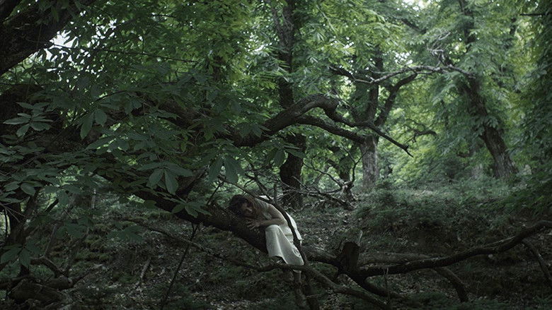 кадр из фильма Переплетённые