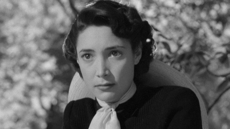 кадр из фильма Bullfighter and the Lady