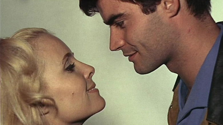 кадр из фильма Счастье