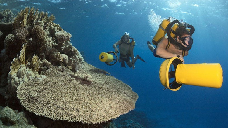 Jacques Cousteau's Vermächtnis - Rückkehr zu den Geheimnissen des Meeres
