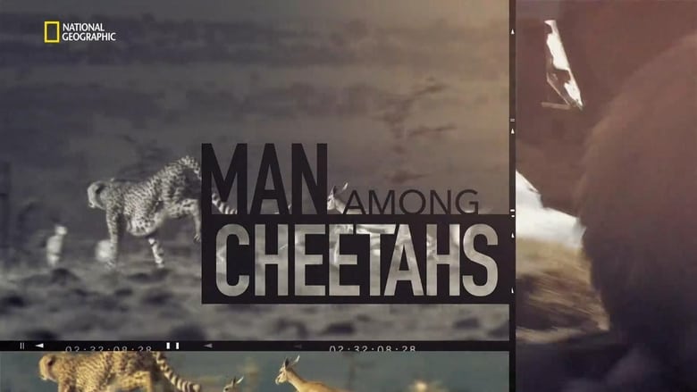 кадр из фильма Man Among Cheetahs