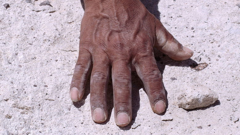 кадр из фильма Cielo abierto