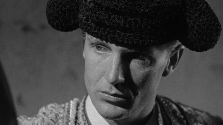 кадр из фильма Bullfighter and the Lady