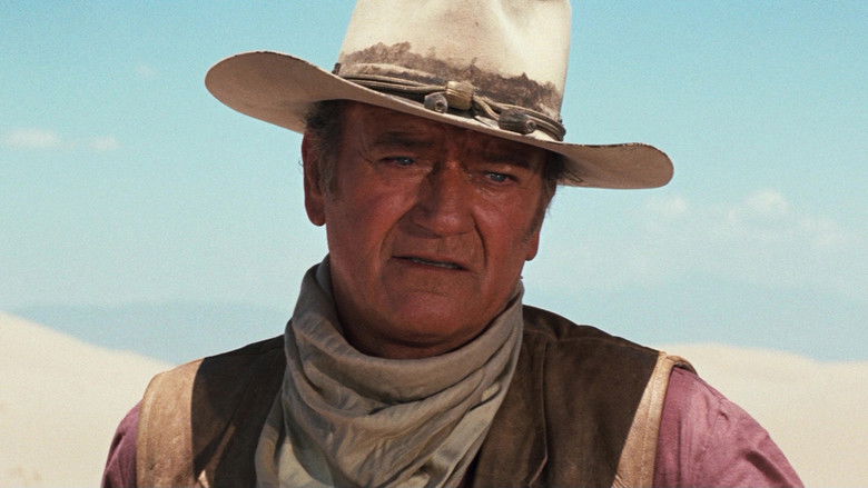 кадр из фильма Грабители поездов