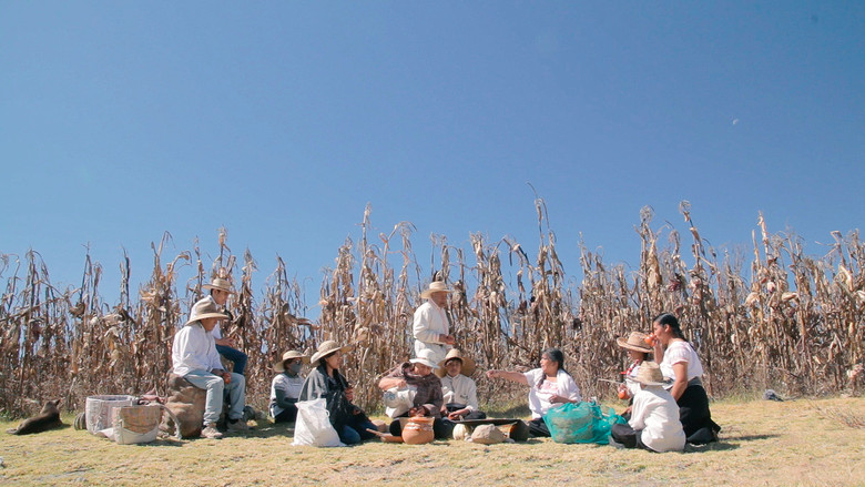 кадр из фильма Los colores de mi pueblo
