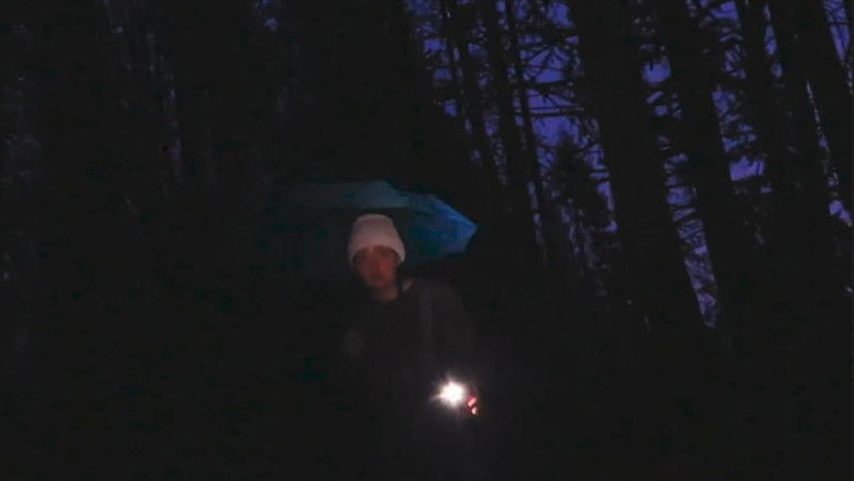 кадр из фильма Starling