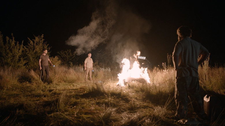 кадр из фильма Собаки