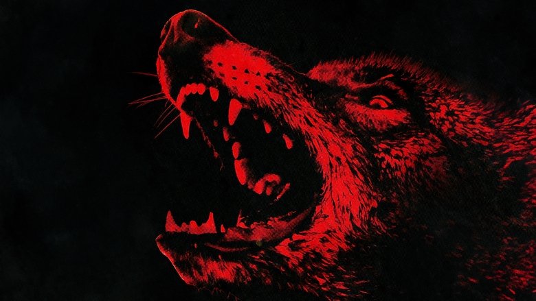 кадр из фильма Ночь койота