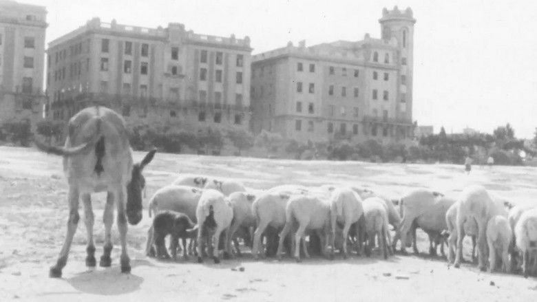 кадр из фильма La primera mirada: historia de una escuela de cine