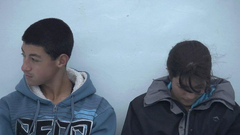 кадр из фильма 37°4 S