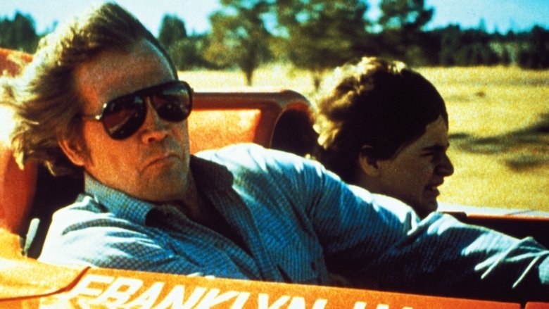 Последняя погоня