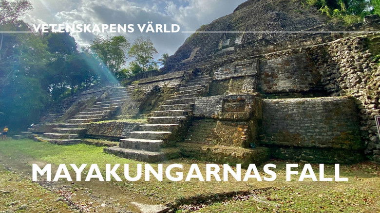 кадр из фильма Mayakungarnas fall