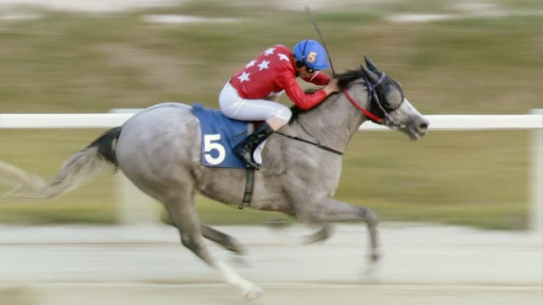 кадр из фильма 웃는 기수