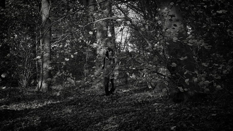 кадр из фильма the forest of great mystery and emptiness