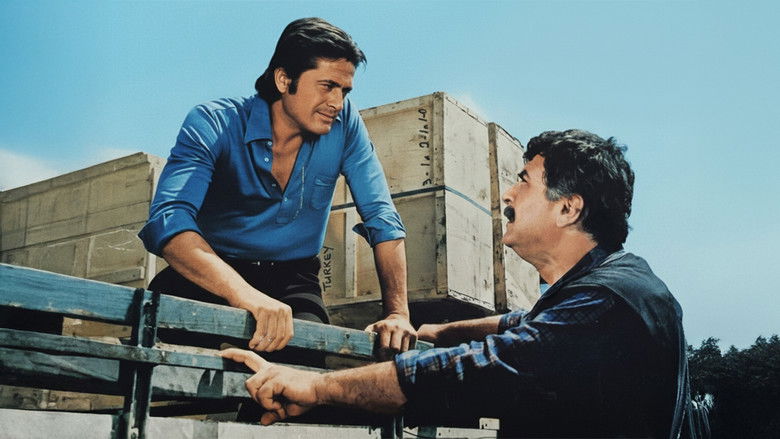 кадр из фильма Deli Yusuf