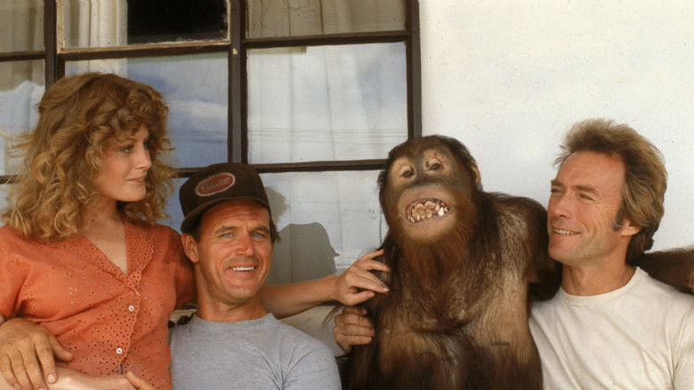 кадр из фильма Как ни крути – проиграешь