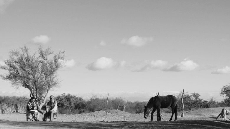 кадр из фильма La calma