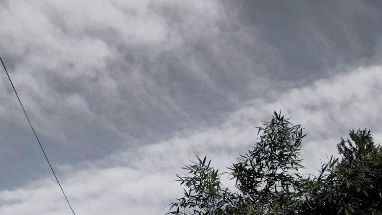 кадр из фильма Pauza