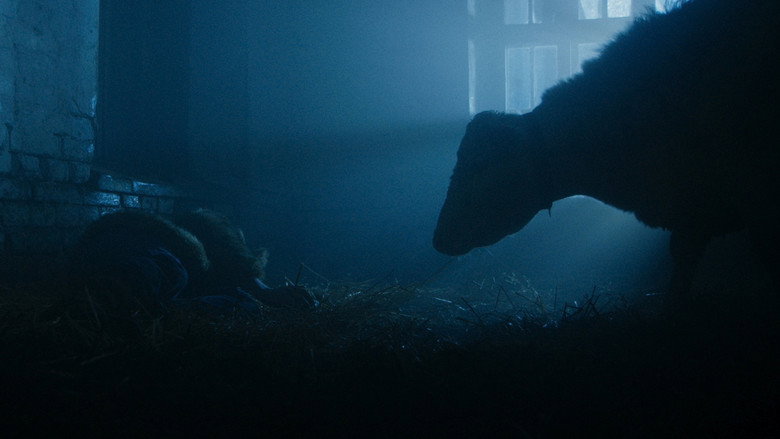 кадр из фильма Beef of Happiness