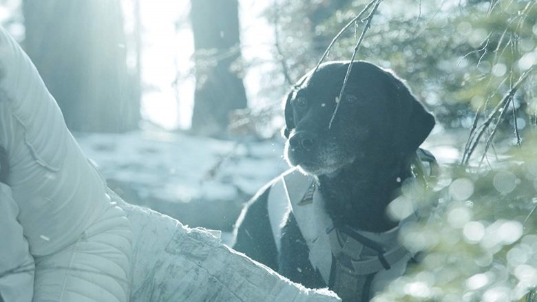 кадр из фильма Эллипс