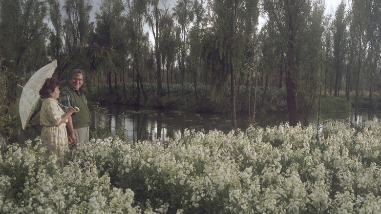 кадр из фильма Sístole diástole