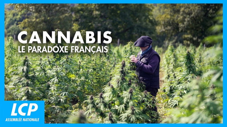 кадр из фильма Cannabis, un paradoxe français
