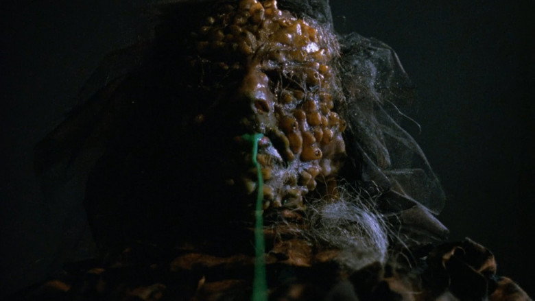 кадр из фильма Чёрная кошка