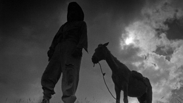 кадр из фильма Я – Куба