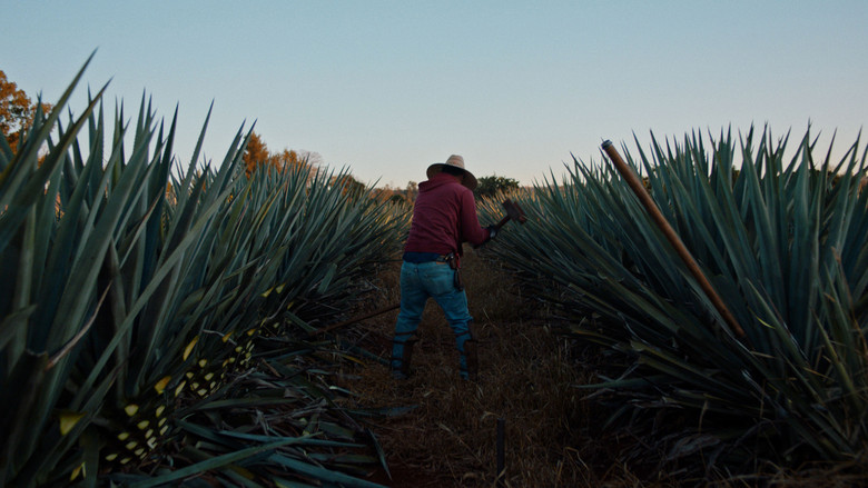 кадр из фильма Dos Estaciones