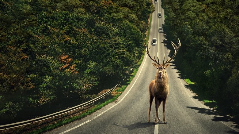 кадр из фильма Оставить мир позади