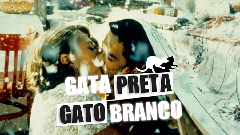 кадр из фильма Чёрная кошка, белый кот